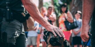 U Helsinkiju treniraju pse za otkrivanje COVID-19