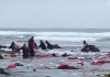 Četvero mrtvih u nesreći migrantskog broda u San Diegu